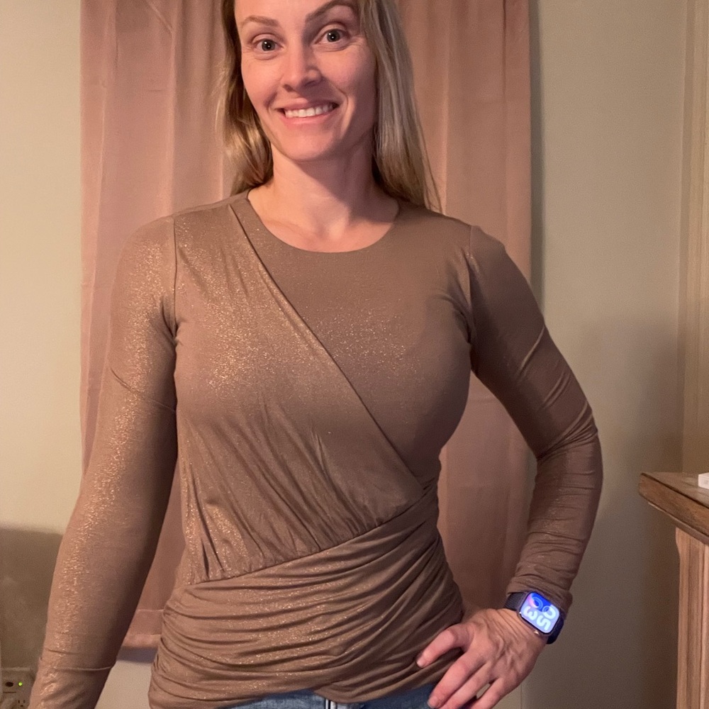 Express Shimmering Brown Long Sleeve Top